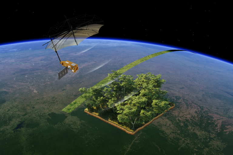Biomass: Un nuevo satélite para la gestión forestal