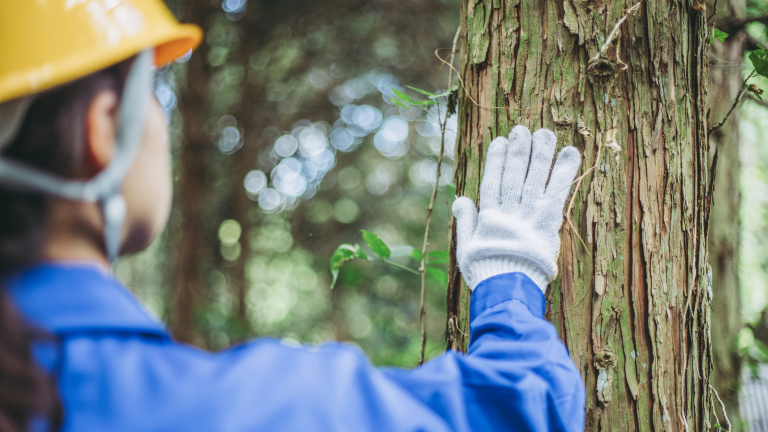 El papel de las mujeres en el sector forestal: visibilizar para transformar